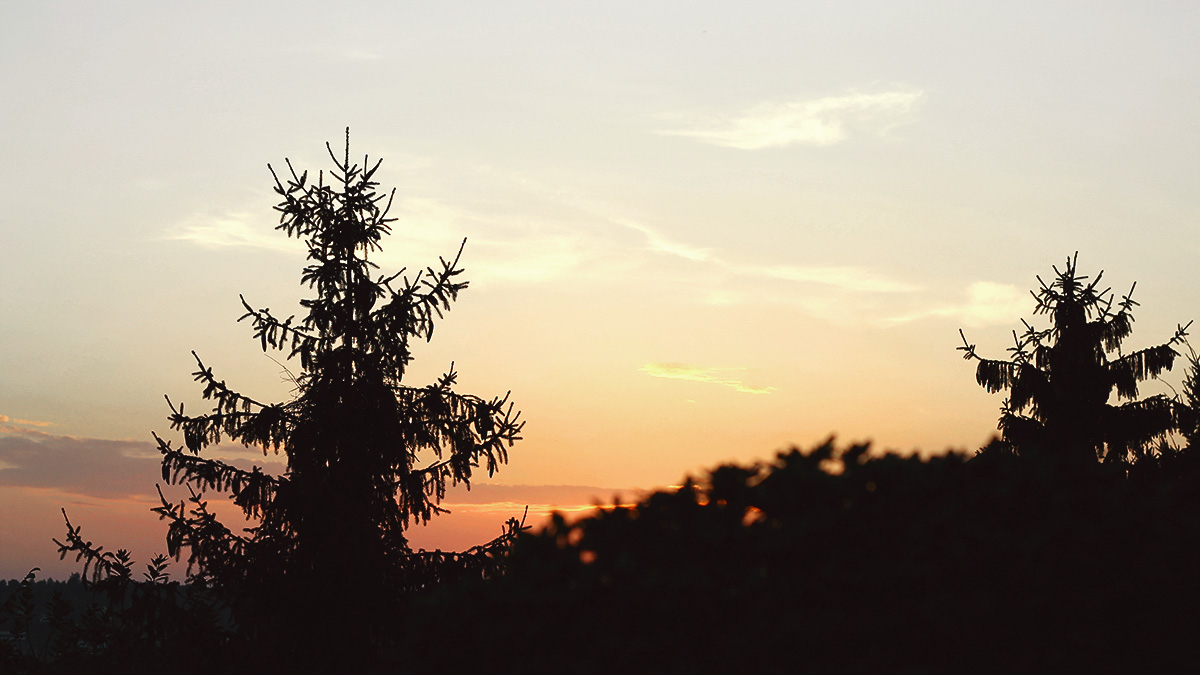 Sonnenuntergang mit Baum