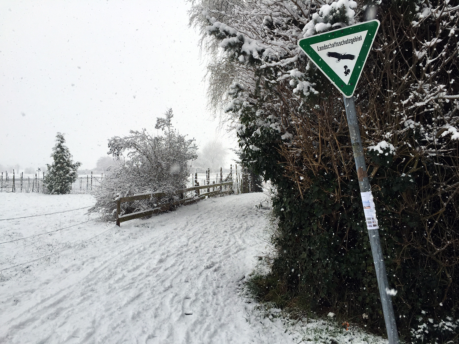 Schnee in Bonn 2015