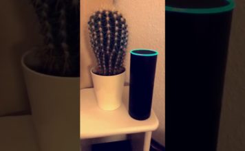 Alexa vor dem Kaktus