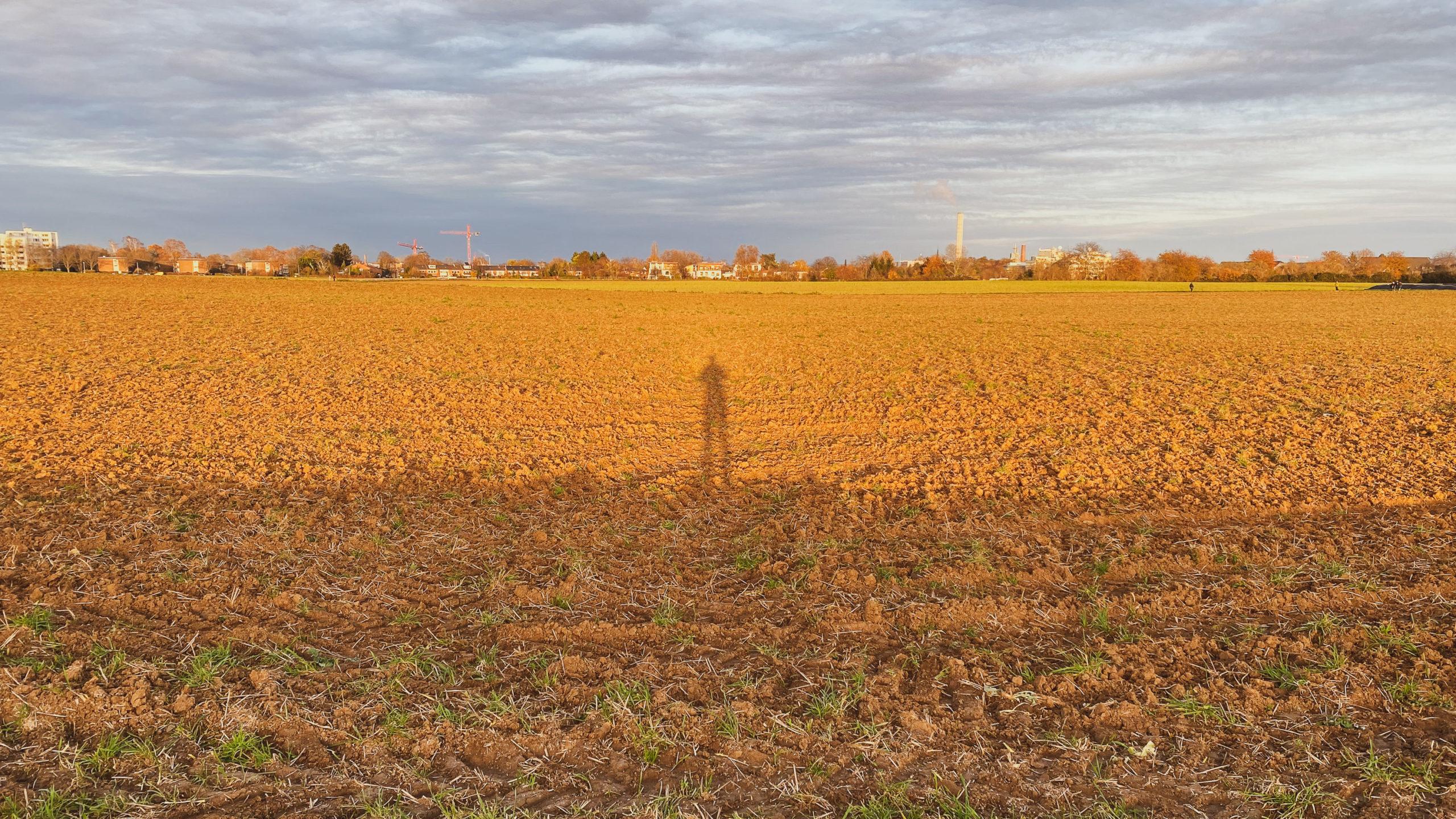 Blick auf ein kahles Feld. Die Sonne scheint tief von hinten und gibt einen langen Schatten des Fotografen preis.