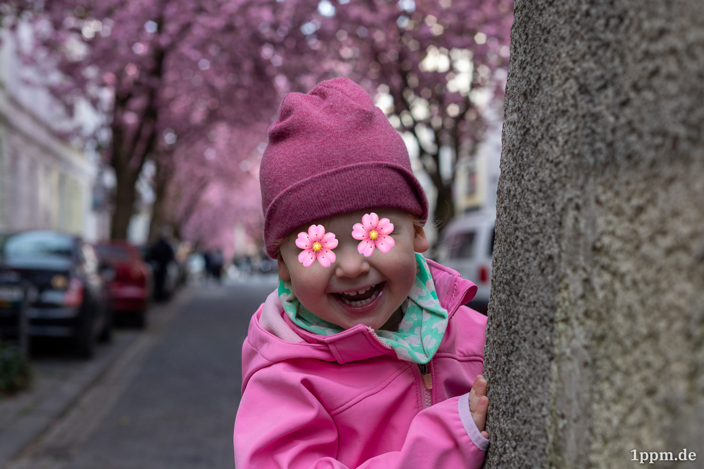 Die Tochter lacht fröhlich in die Kamera bei der Bonner Kirschblüte