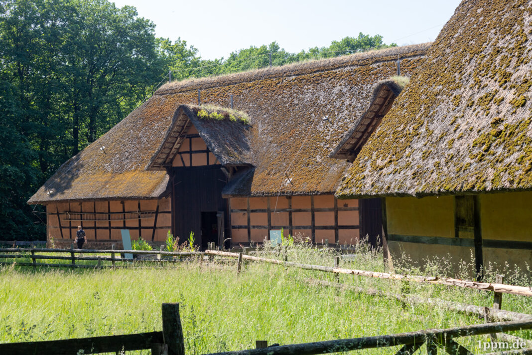 Ein altes Fachwerkhaus mit Reetdach und gelben Wänden, davor eine lang gewachsene Wiese mit Holzumzäunung.