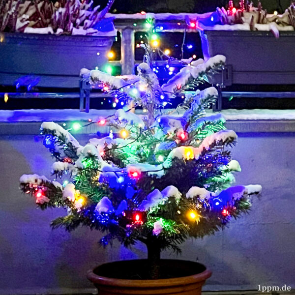 Ein kleines Tannenbäumchen im Topf, garniert mit einer bunten Lichterkette etwas echtem (!) Schnee auf den Zweigen.