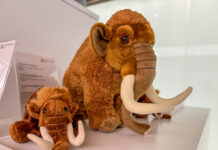 Zwei braune Plüschtier-Mammuts, ein kleines und ein großes, auf einem weißen Regalbrett. Dahinter erahnt man eine Beschreibung und Preisangabe.