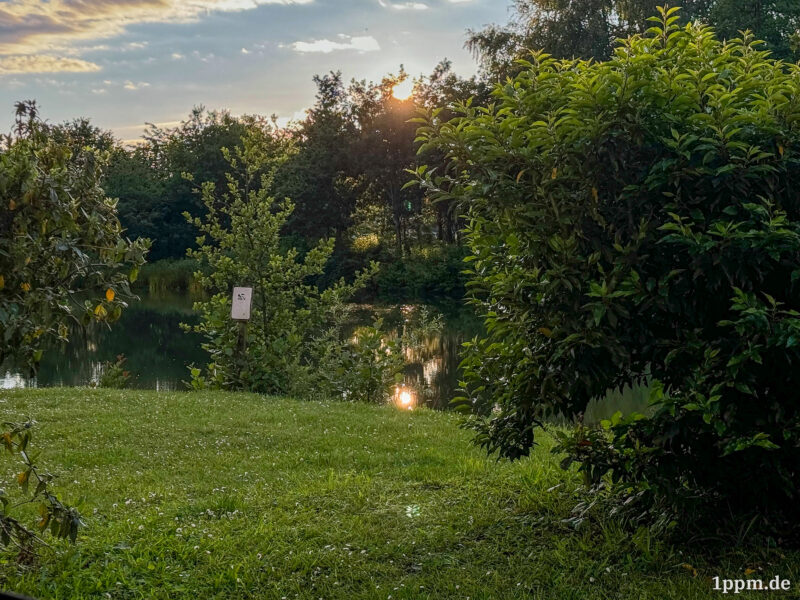 Eine im Hintergrund hinter Bäumen untergehende Sonne spiegelt sich in Wasser, davor, daneben, überall viel Grün.