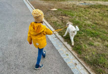 Ein Kind in einer gelben Jacke und einer gelb-weiß gestreiften Mütze von hinten. Es hält einen weiß-gelockten halbhohen Hund an der Leine.