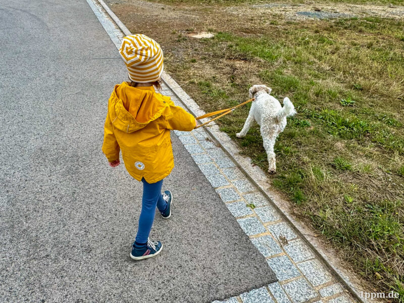 Ein Kind in einer gelben Jacke und einer gelb-weiß gestreiften Mütze von hinten. Es hält einen weiß-gelockten halbhohen Hund an der Leine.