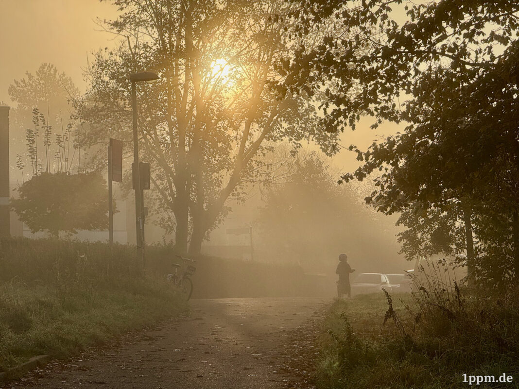 Sonne im Nebel, man sieht Bäume, Straßenschilder und ganz klein ein Kind von hinten auf einem Fahrrad.