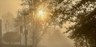 Sonne im Nebel, man sieht Bäume, Straßenschilder und ganz klein ein Kind von hinten auf einem Fahrrad.