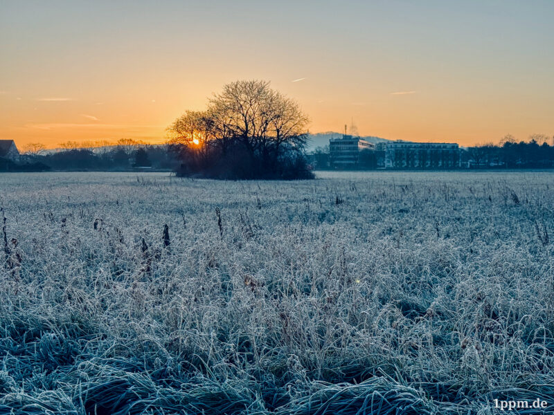 Ein Feld voller Raureif, in der oberen Bildmitte ein Baum, im Hintergrund einen Sonnenaufgang und ein paar Häuser.