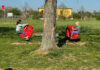Zwei Kinder auf einer Wippe, ziemlich genau in der Mitte davor im Bild ein Baumstamm. Das Mädchen links zeigt gerade mit dem Finger auf den Jungen rechts, der eine gelb-weiß gestreifte Mütze trägt.