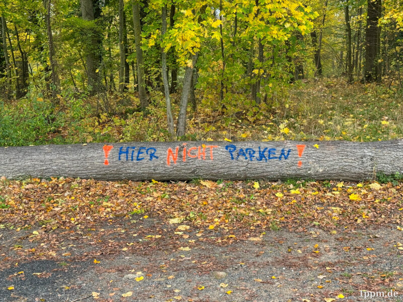 Ein Baumstamm, auf dem jemand in Rot und Blau gesprayt hat: „! HIER NICHT PARKEN !“