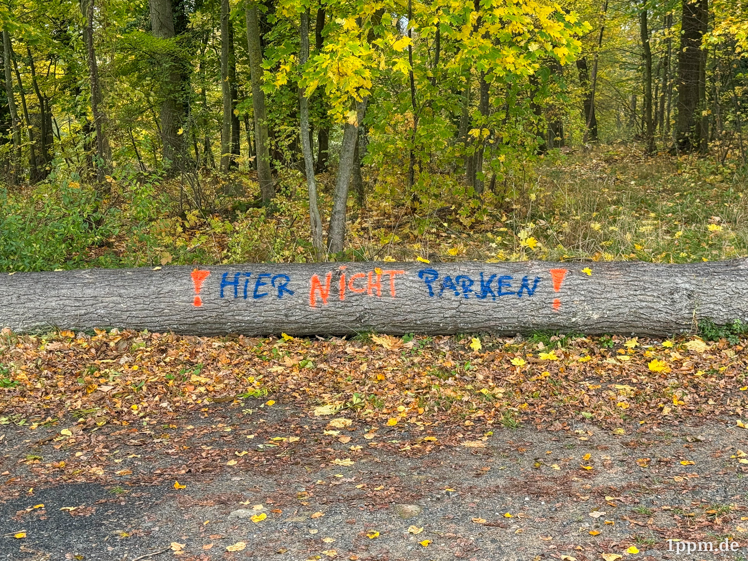 Ein Baumstamm, auf dem jemand in Rot und Blau gesprayt hat: „! HIER NICHT PARKEN !“