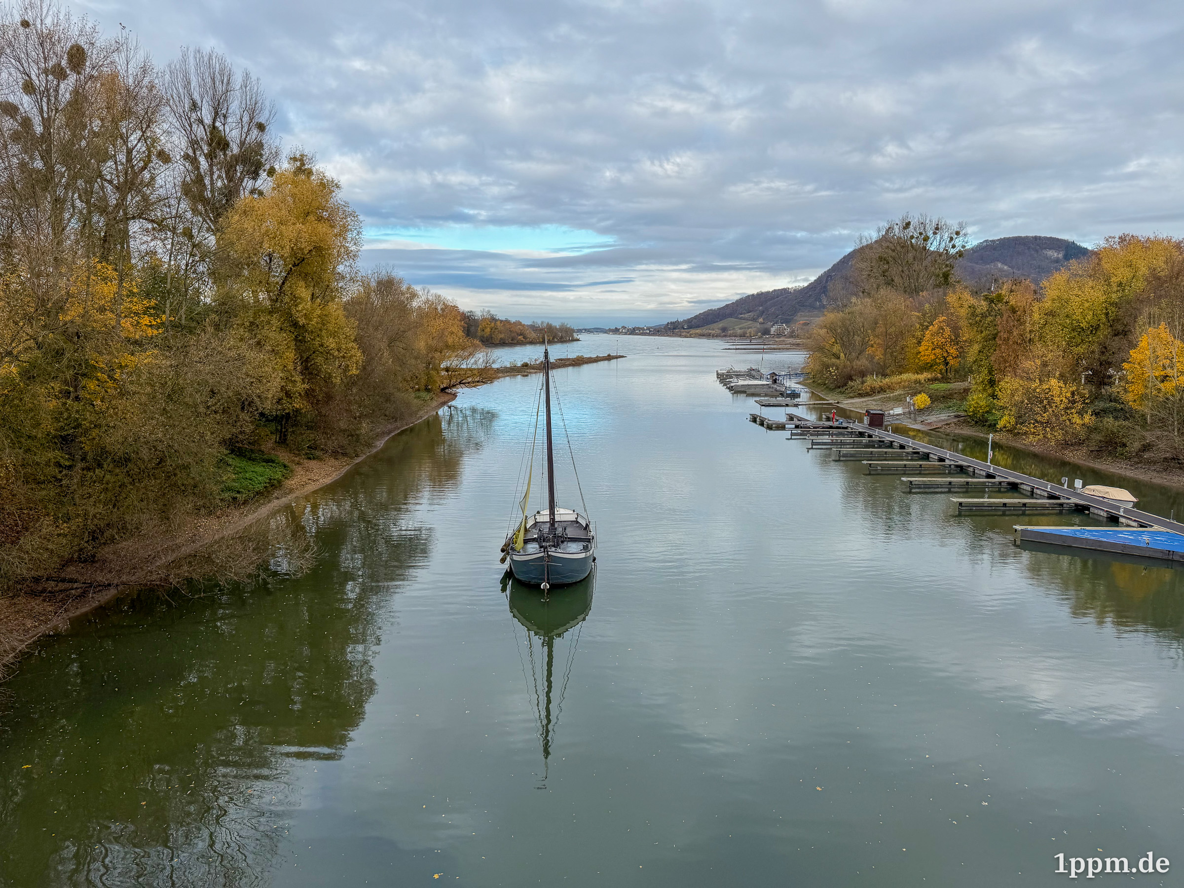 Ein Seitenarm vom Rhein, mittig ankert ein Segelboot, am Rand sind noch ein paar mehr Boote festgemacht.