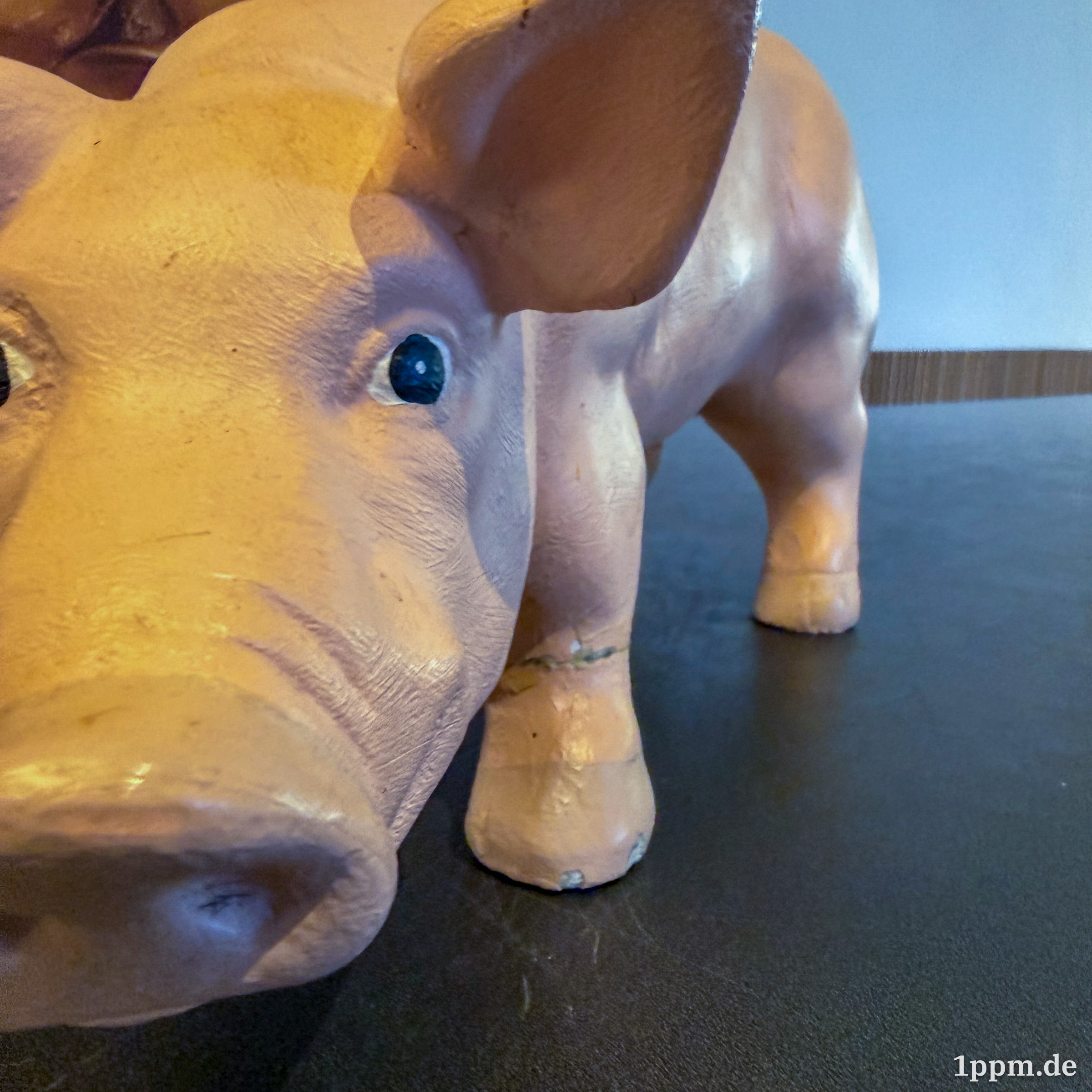 Nahe Aufnahme eins unechten Ferkels.