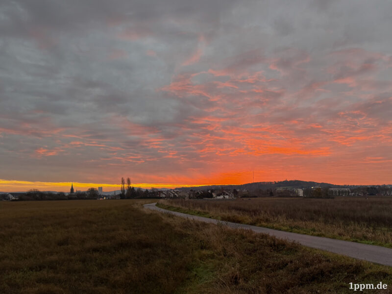 Sonnenaufgang mit rot-gelben Himmel.