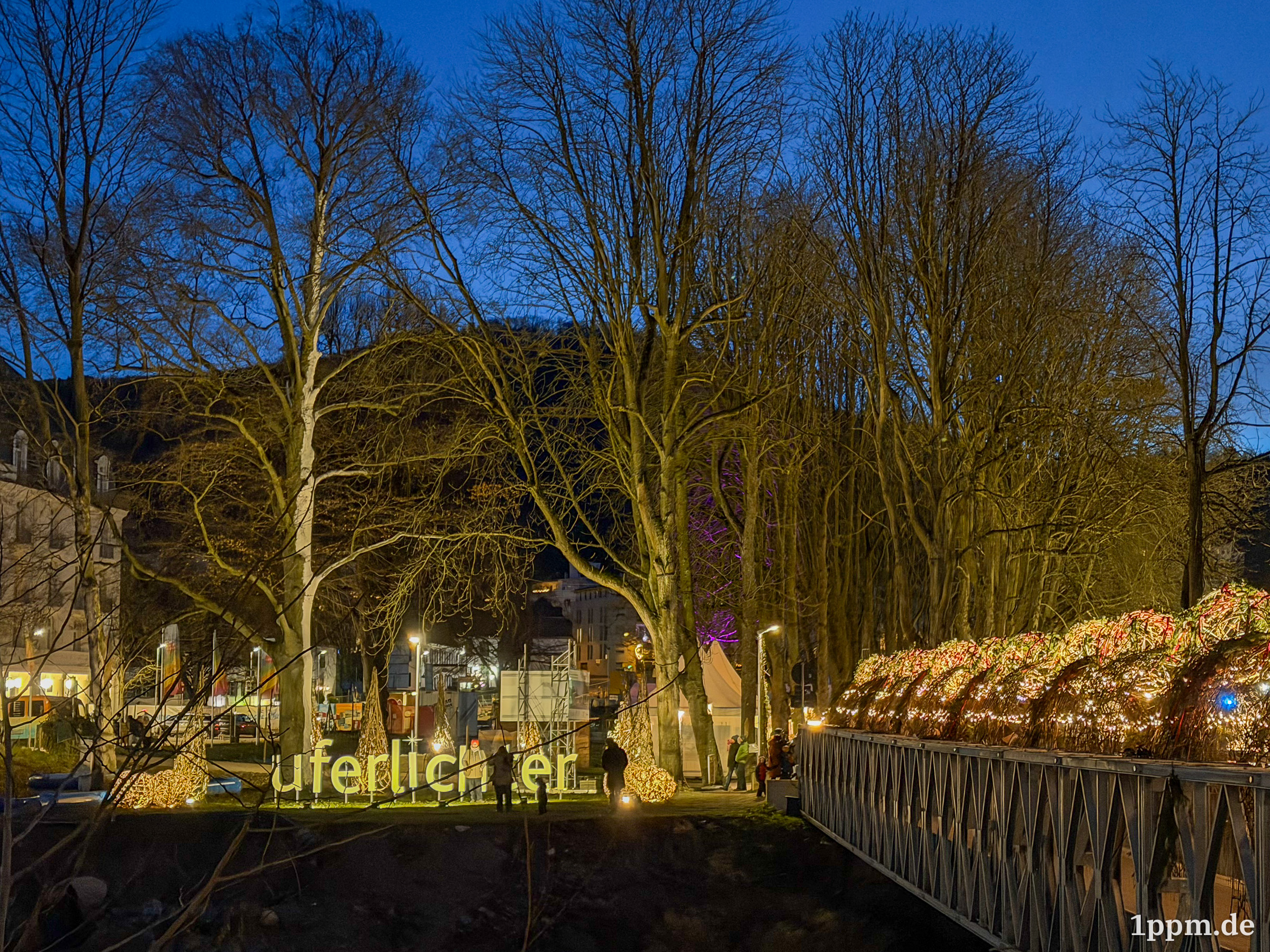 Beleuchteter Park mit großen Bäumen und einer Installation aus leuchtenden Buchstaben bei Nacht