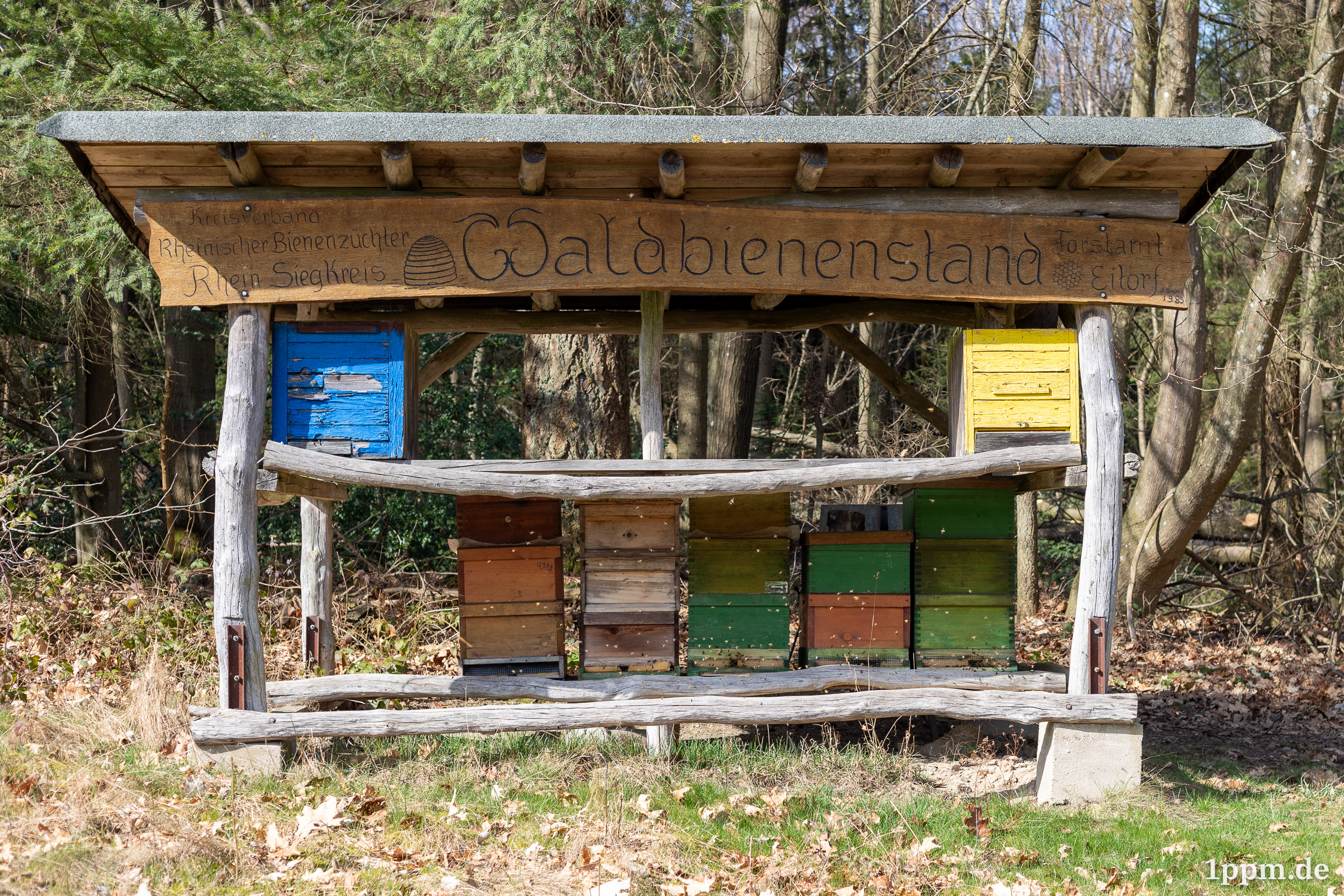 Holzstand mit mehreren bunten Bienenkästen unter einem Dach mit der Aufschrift 'Waldbienenstand' am Bienenlehrpfad Eitorf