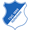 Wappen TSG Hoffenheim